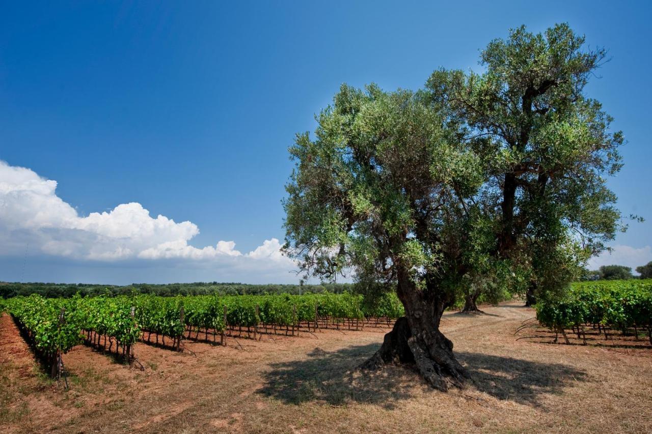Masseria Le Fabriche Maruggio Dış mekan fotoğraf